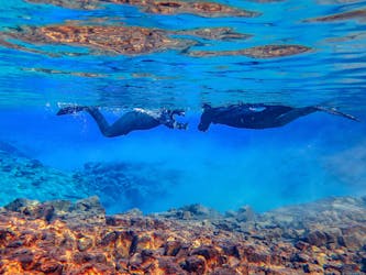 Fai snorkeling tra i continenti di Silfra